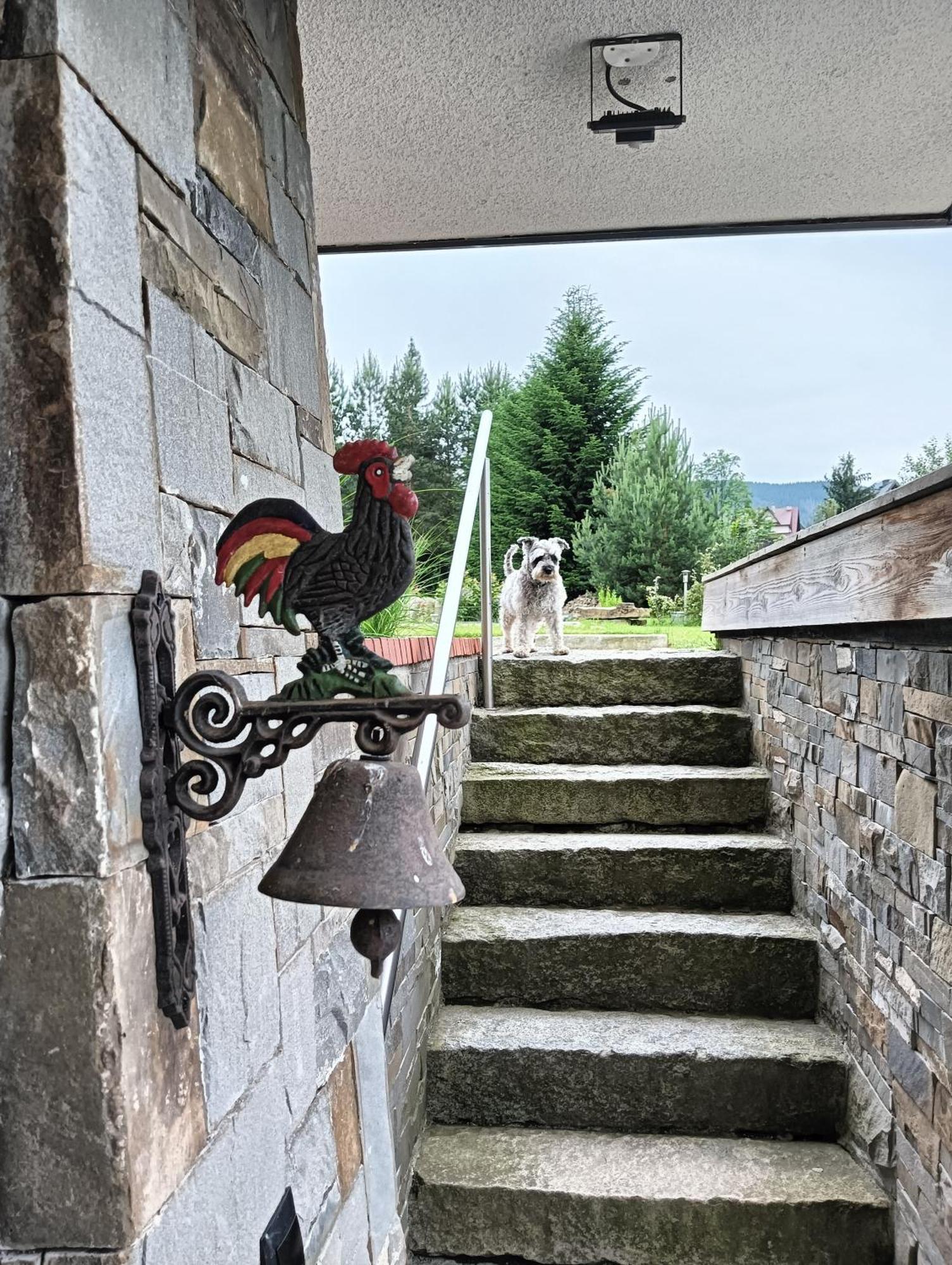 Apartament Nad Stawem Zakopane Ngoại thất bức ảnh